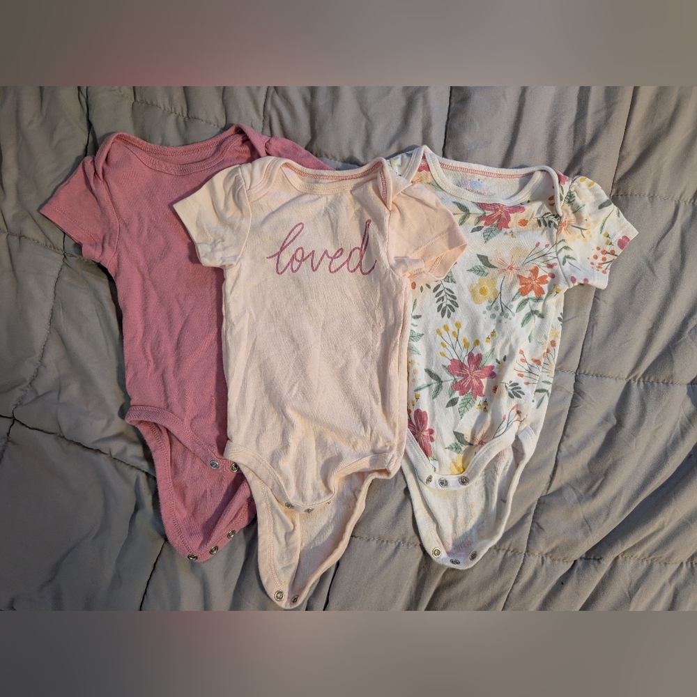 Cloud Island Pink and Floral Bodysuit Set